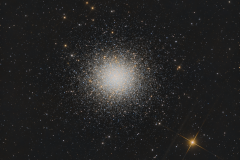 M13